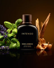 D&G Intenso EDP For Men