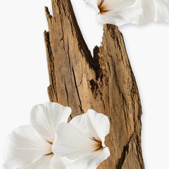 Valaya Parfums de Marly for women